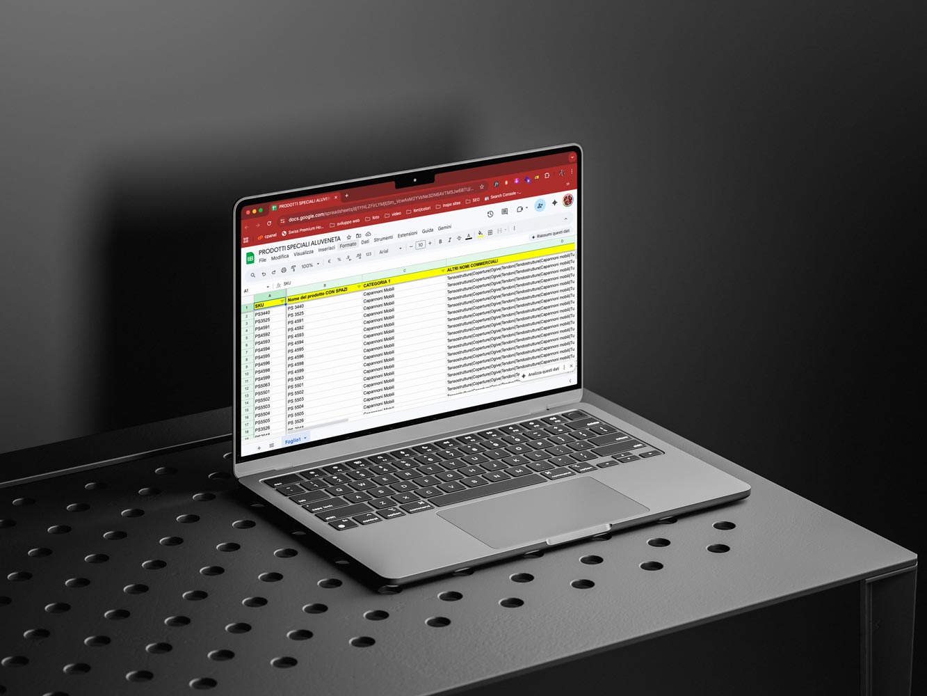 Sviluppo database e gestione dati online: l'innovazione digitale di Aluveneta Speciali