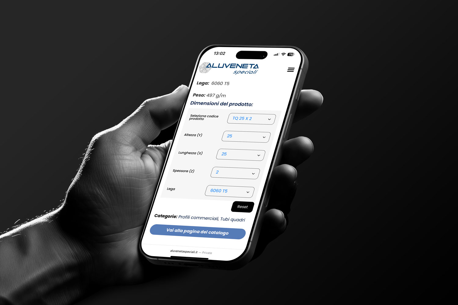 Sviluppo database e gestione dati online: l'innovazione digitale di Aluveneta Speciali