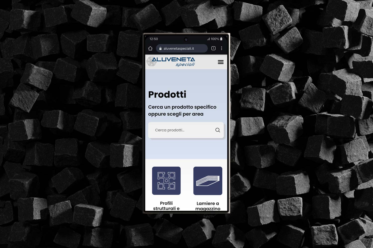 Sviluppo database e gestione dati online: l'innovazione digitale di Aluveneta Speciali